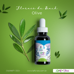 Floral de Bach - Olive 30 ml - comprar online