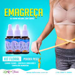 Kit Floral Em Gotas - Equilíbrio Alimentar (3 Florais) - loja online