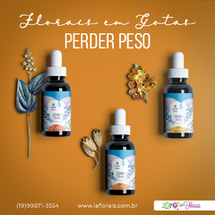 Kit Floral Em Gotas - Equilíbrio Alimentar (3 Florais) - LA Florais