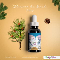 Floral de Bach - Pine 30 ml - comprar online