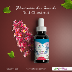 Floral de Bach - Red Chestnut 30 ml - comprar online