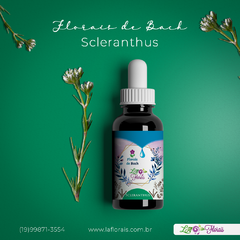 Floral de Bach - Scleranthus 30 ml - comprar online