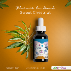 Floral de Bach - Sweet Chestnut 30 ml - comprar online