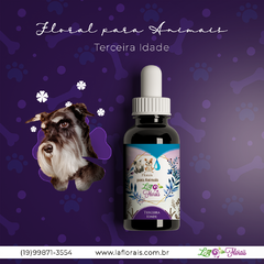 Florais para Animais - Terceira Idade 30 ml - comprar online