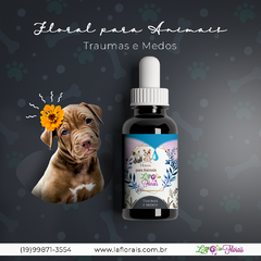 Floral para Animais - Traumas e Medos 30 ml - comprar online
