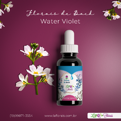 Floral de Bach - Water Violet 30 ml na internet