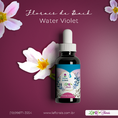 Floral de Bach - Water Violet 30 ml - comprar online