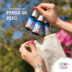 Kit Floral Em Gotas - Equilíbrio Alimentar (3 Florais) na internet