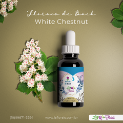 Floral de Bach - White Chestnut 30 ml - comprar online