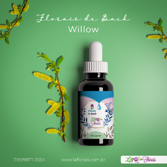 Floral de Bach - Willow 30 ml - comprar online