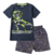 Conjunto Infantil Masculino Dinossauro Cinza