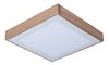 Plafon De Madera Led 24w 32x32cm Cx