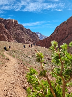 Cerro Penitentes - Trekking y montañismo - ascenso a cumbre - Mendoza