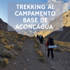 Trekking al campamento base de Aconcagua - Cerro Bonete - Plaza de Mulas (4350 msnm)- Trekking Largo Aconcagua