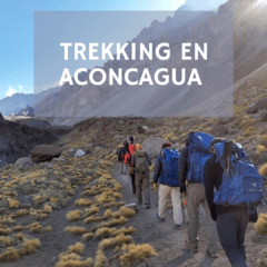 Trekking en Aconcagua - Puente del Inca - Confluencia - Plaza Francia - Centinela de Piedra