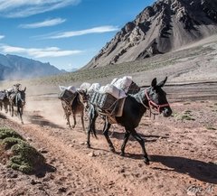 Trekking al campamento base de Aconcagua - Cerro Bonete - Plaza de Mulas (4350 msnm)- Trekking Largo Aconcagua - comprar online