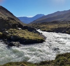 Cabalgata al Milagro de los Andes-Avion de los Uruguayos - Mendoza - comprar online