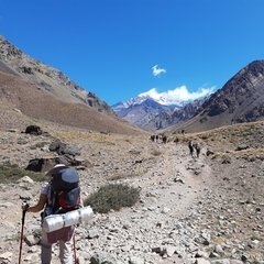 Trekking en Aconcagua - Puente del Inca - Confluencia - Plaza Francia - Centinela de Piedra - Summit Project