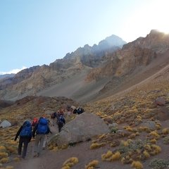 Imagen de Trekking al campamento base de Aconcagua - Cerro Bonete - Plaza de Mulas (4350 msnm)- Trekking Largo Aconcagua