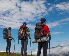 Trekking de la Selva a la Puna - Calilegua - Tilcara - Jujuy - comprar online