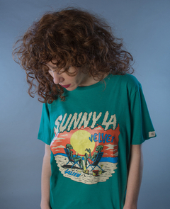 Modelo SUNNY
