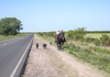 4692 - Long yourney with my Friend and dogs