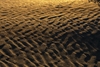 6673 - Sandscapes #2