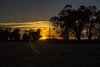 9026 - Pampas early sunrise