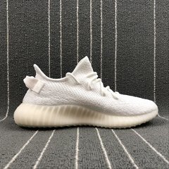 YEEZY 350 V2 na internet