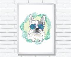Quadro Cãozinho com óculos