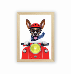 Quadro Cãozinho na moto na internet