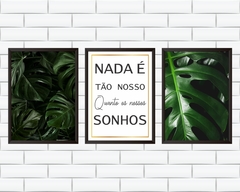 Quadros Folhas e Nada é tão nosso quanto os nossos sonhos