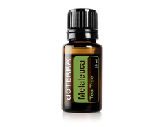 Melaleuca (Tea Tree) 100% natural - comprar online