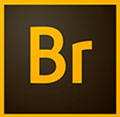 Adobe bridge CC 2020 - comprar online