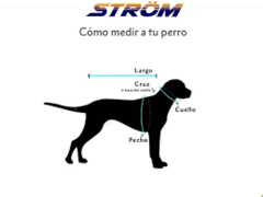 Chaleco para perro Strom - comprar online