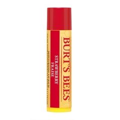 Burt’s Bees - Balm Lips - comprar online