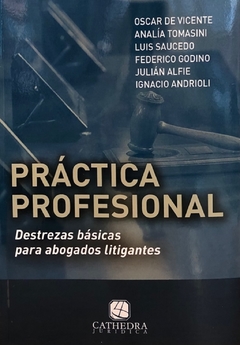 Practica profesional - De Vicente y otro 2022
