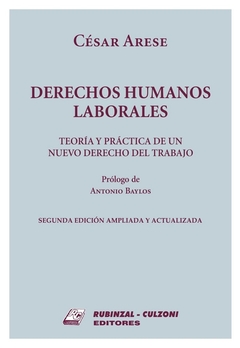 Derechos Humanos Laborales Teoría y práctica de un nuevo Derecho del Trabajo .2ª edición ampliada y actualizada. Cesar Arese