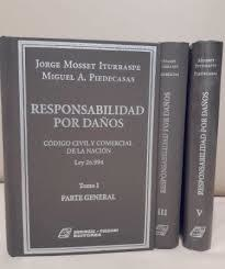 Responsabilidad por daños tomo IV rústico. AUTOR: Mosset Iturraspe, Jorge/ Piedecasas, Miguel A. - comprar online