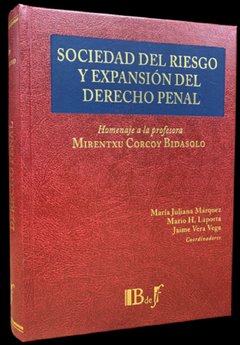 Sociedad del riesgo y expansión del Derecho penal. Homenaje a Mirentxu Corcoy Bidasolo