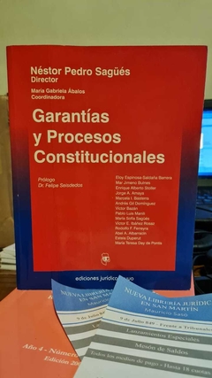 Garantías y Procesos Constitucionales. Sagüés Néstor Pedro - María Gabriela Ábalos