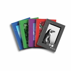 Cuaderno Universitario Skycolor X80 Hojas Pack x5 unidades - comprar online