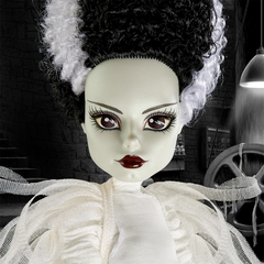Frankenstein & Bride of Frankenstein Monster High Skullector Doll Set