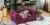 Cama Sofa Chester Doggy en internet