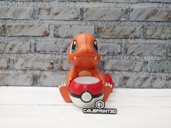 Charmander Maceta