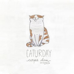 CUADRO CATURDAY - comprar online