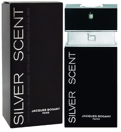 Perfume Silver Scent - Masculino 100ml