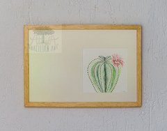 comprar-quadro-horizontal-aquarela-cactus-n1