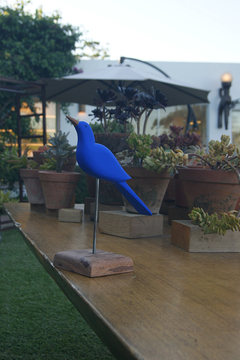 Escultura-passaro-azulao-em-madeira