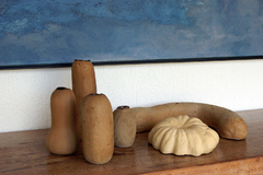 cupuaçu-peça-decorativa-em-ceramica